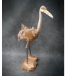 Crane - teak wood carving, L-size