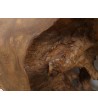 Giant console made from natural teak root
