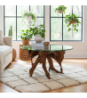 Teak root coffee table with 90 cm glass top