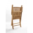 Folding garden chair with armrests, Teak wood