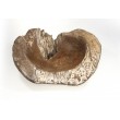 Teak wood bowl of irregular shape