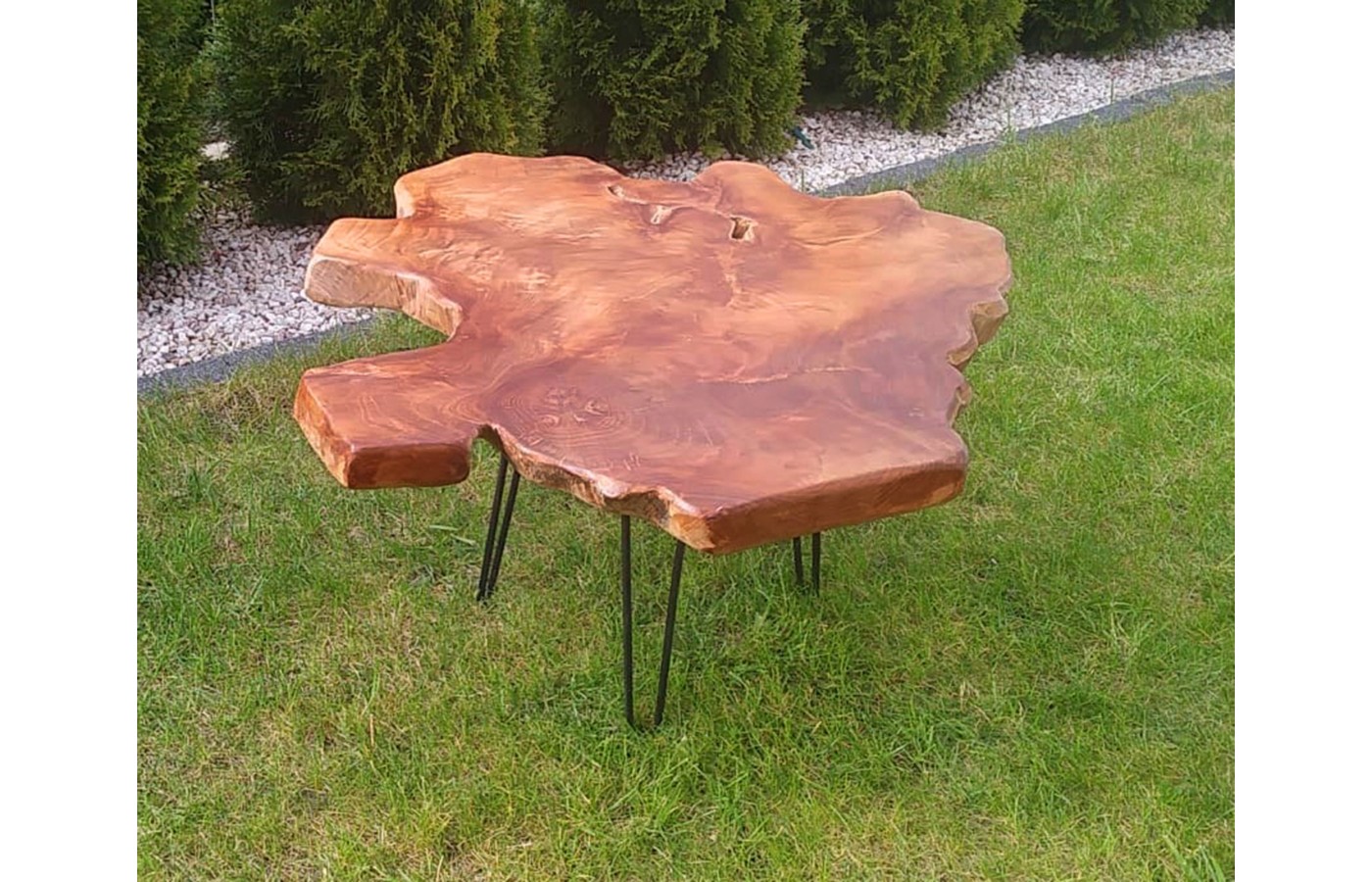 Coffee table with teak root top