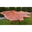 Coffee table with teak root top