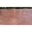 Coffee table with teak root top