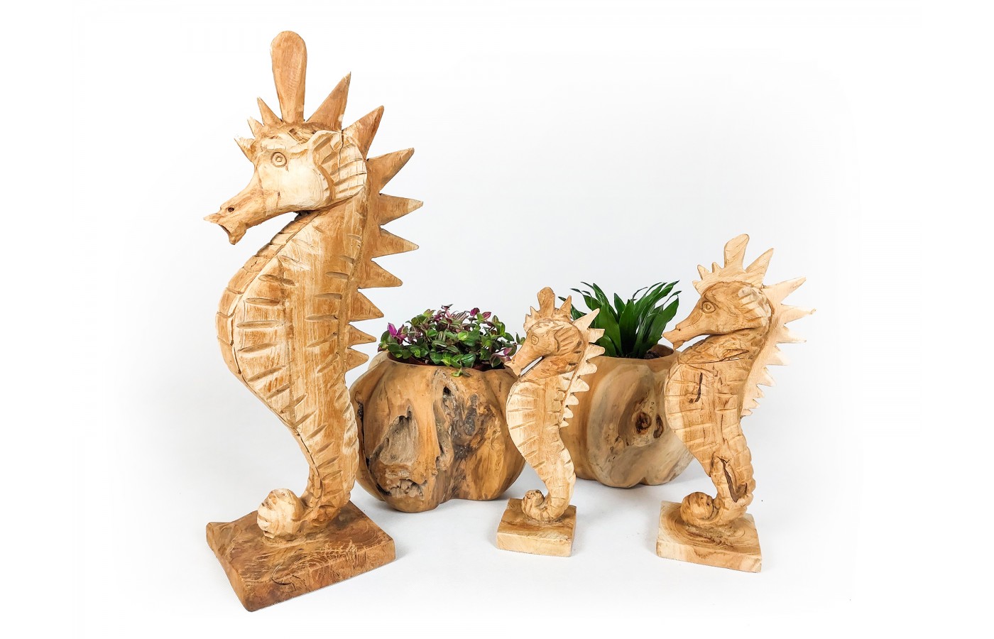 Sculpture seahorse, teak wood, L size