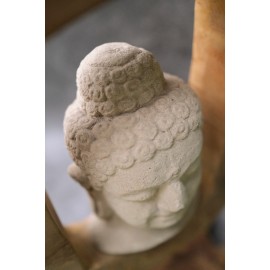 Budda - Rzeźbiona kamienna głowa Buddy otoczona drewnem tekowym