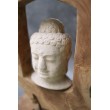 Budda - Rzeźbiona kamienna głowa Buddy otoczona drewnem tekowym