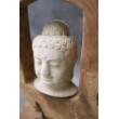 Buddha head surrounded by teak wood