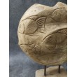 Balinese Fish Sculpture, teak wood