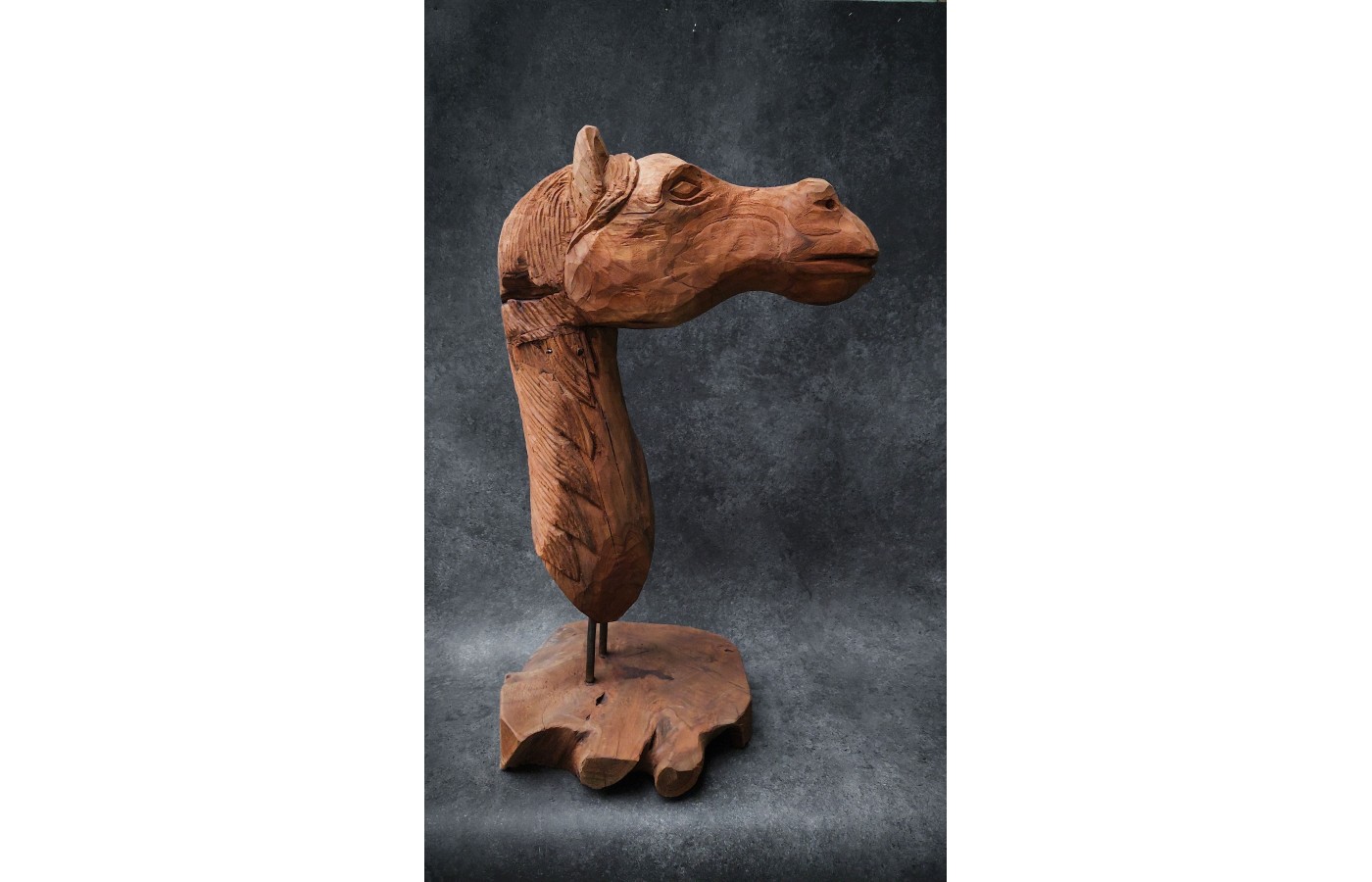 Sculpture, horse head made of Teak wood