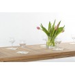 Garden and catering set Anat 6 os, Teak