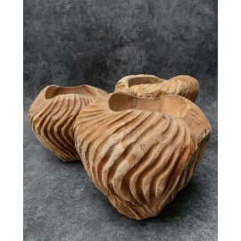 Teak wood bowl of irregular shell shape