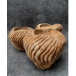 Teak wood bowl of irregular shell shape