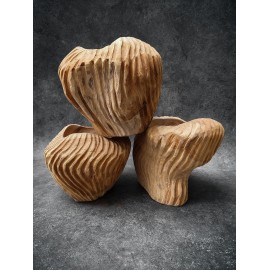 Teak wood bowl of irregular shell shape