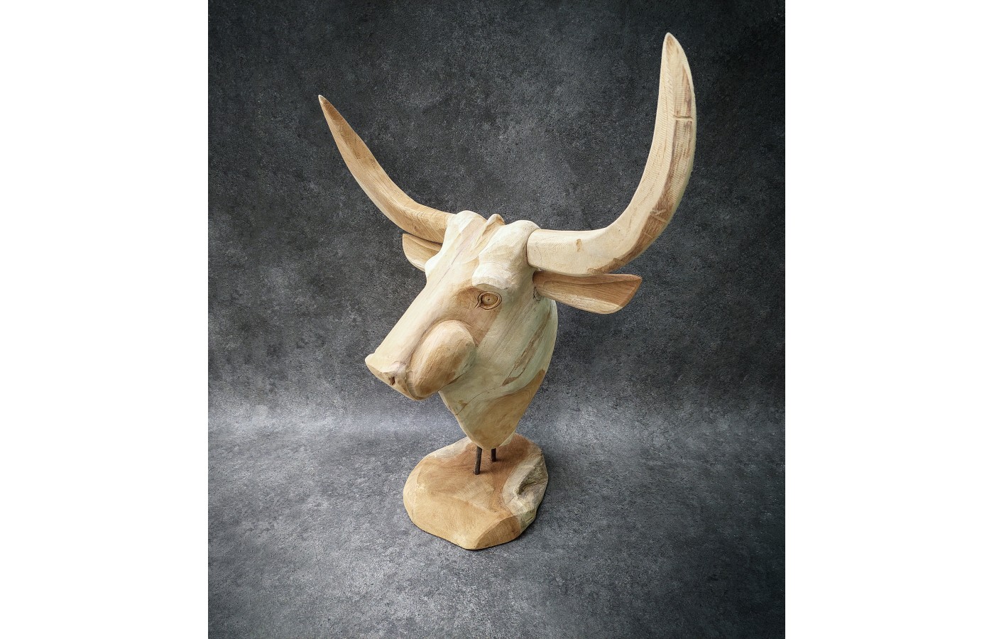 Sculpture, bull head made of Teak wood