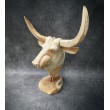 Sculpture, bull head made of Teak wood