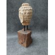 Budda - Ręcznie rzeźbiona Głowa Buddy