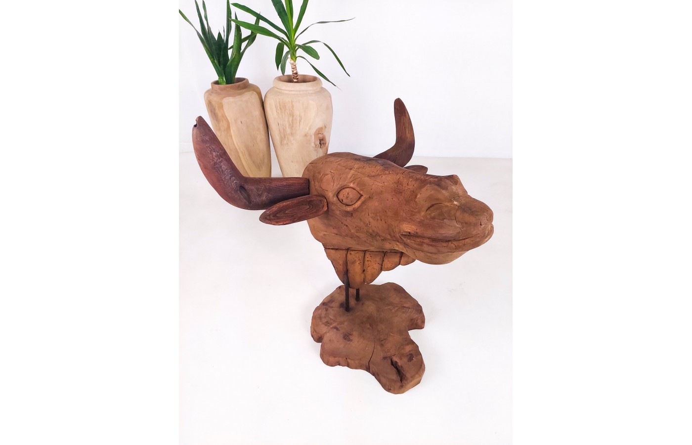 Sculpture, buffalo head made of Teak wood