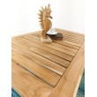 Teak garden coffee table