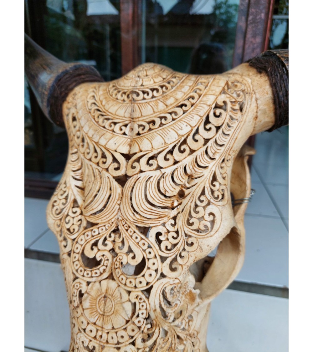 Carved Balinese skull of Bali banteng