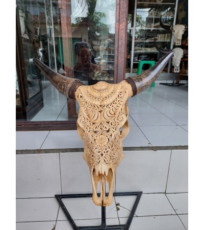 Carved Balinese skull of Bali banteng